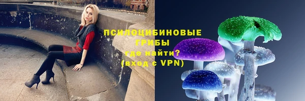МДПВ Белокуриха