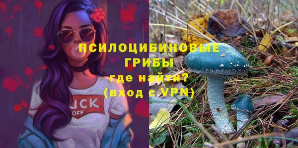 apvp Беломорск
