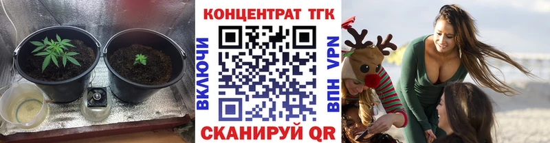 кракен как войти  Кузнецк  ТГК вейп 