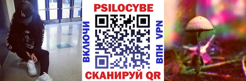 omg зеркало  что такое   Кузнецк  Псилоцибиновые грибы мухоморы 